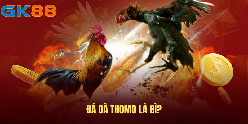 gioi-thieu-da-ga-thomo