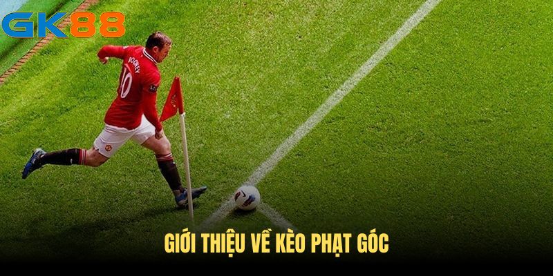 so-luoc-ve-keo-phat-goc-gk88