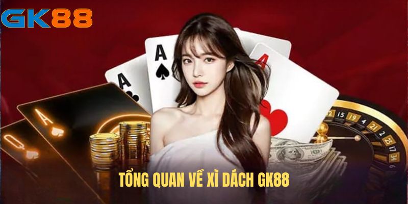 thong-tin-ve-xi-dach-gk88